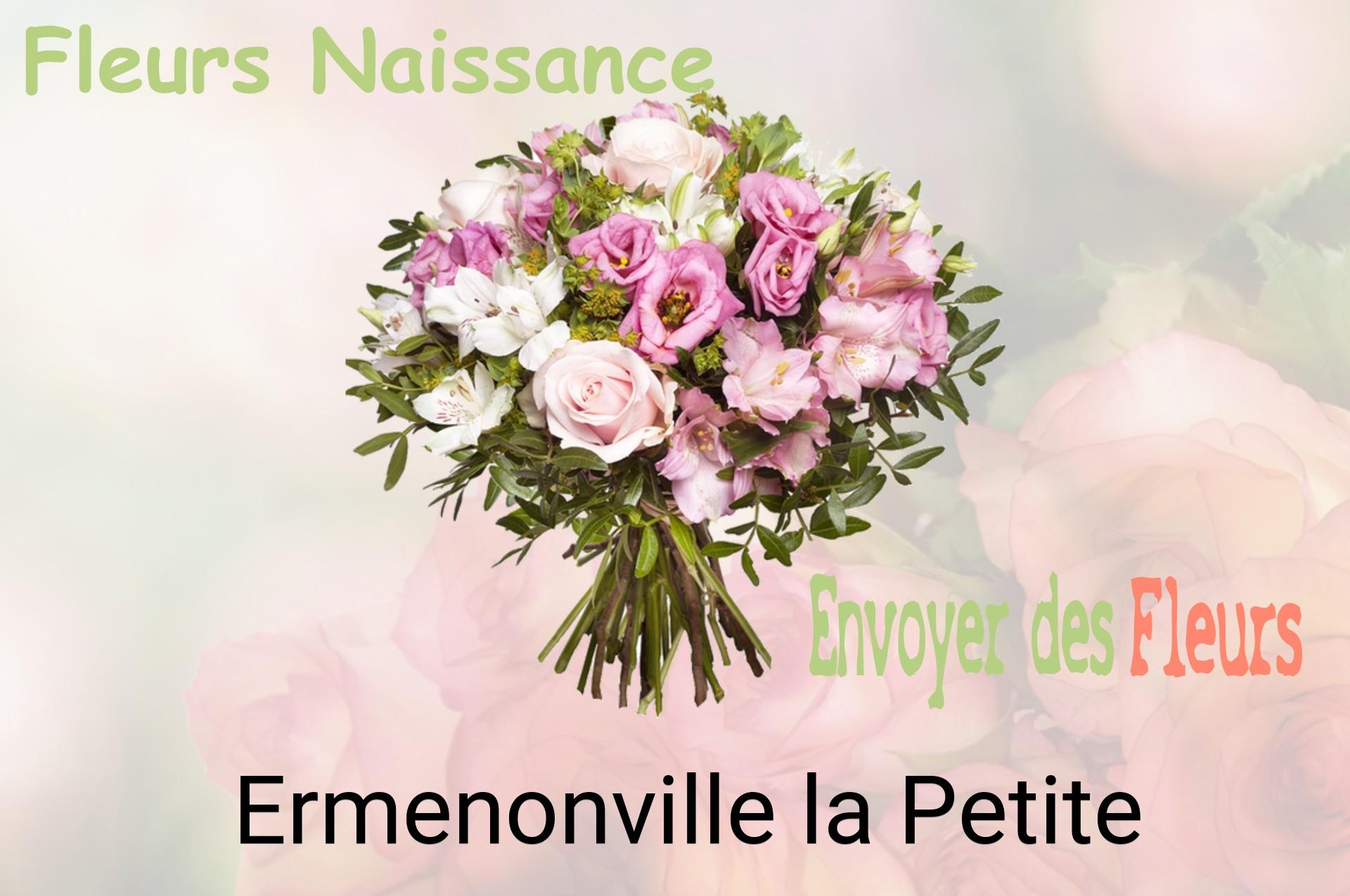 Bouquet de fleurs de naissance livré à Ermenonville-la-Petite